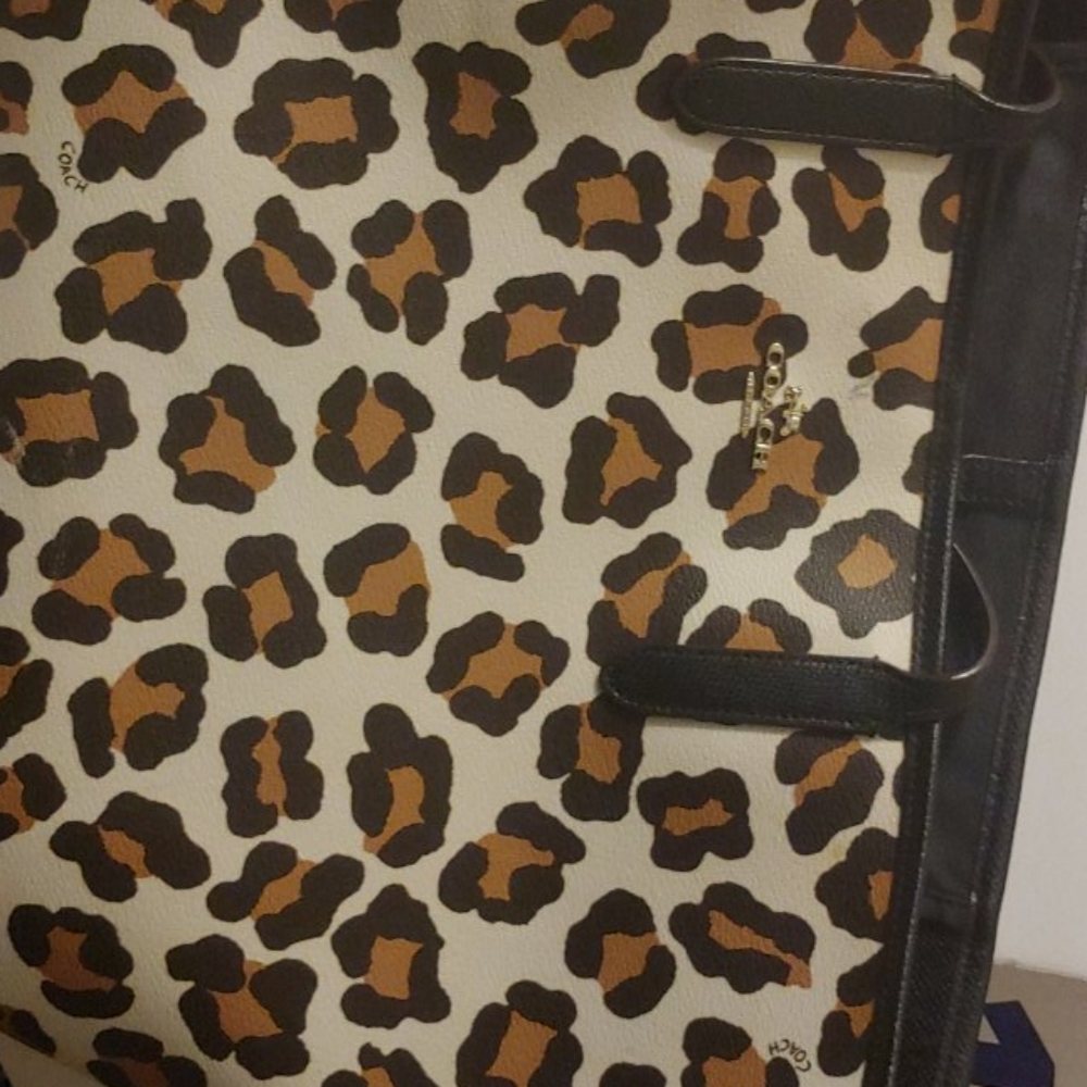 Coach - Picture 2 of 2